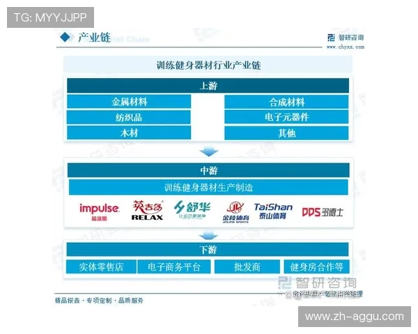 高端健身器材市场的未来发展方向